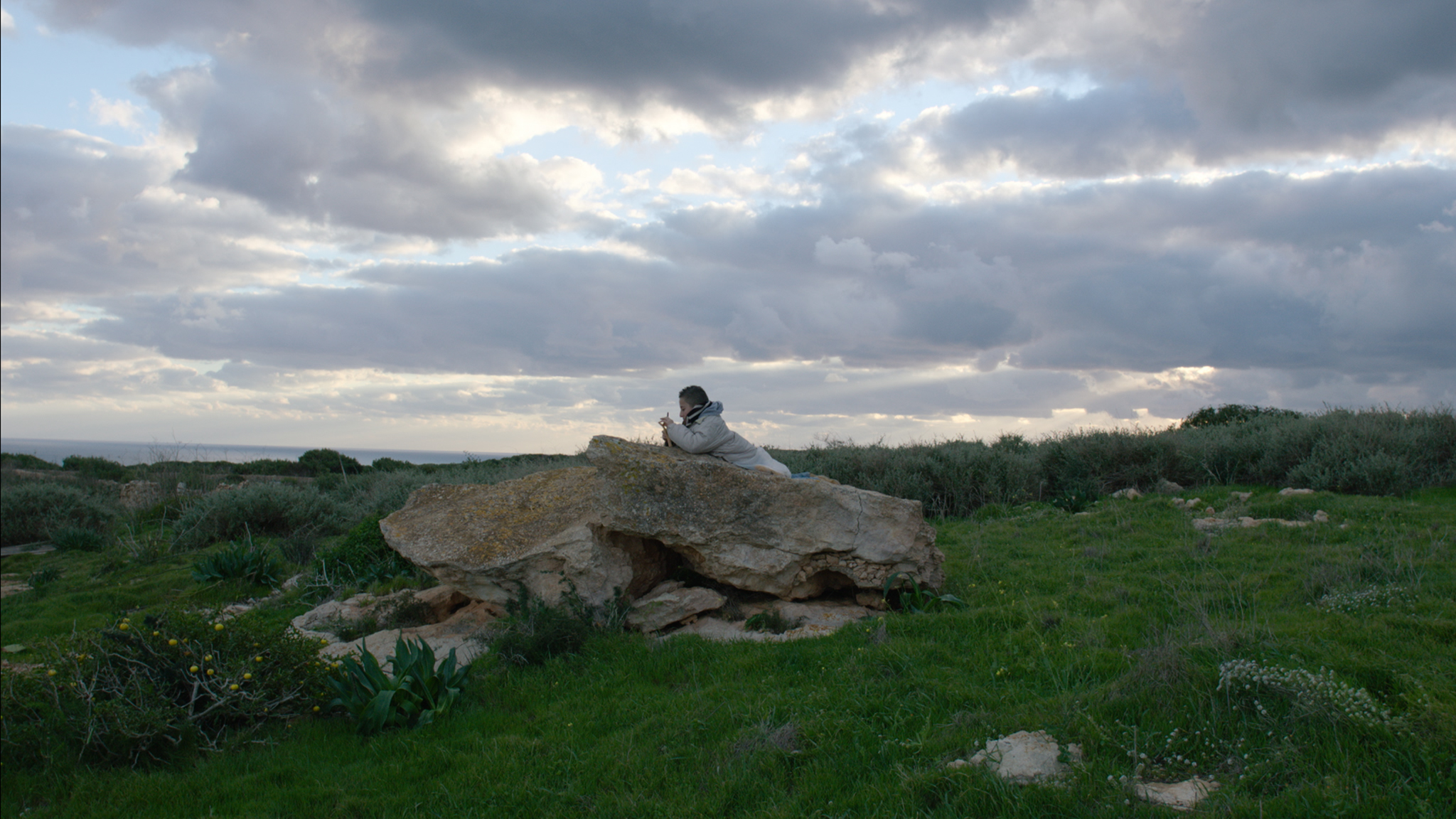 Picture from the movie