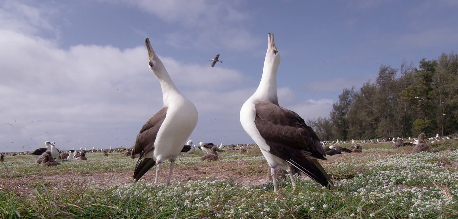 Afbeelding uit de film