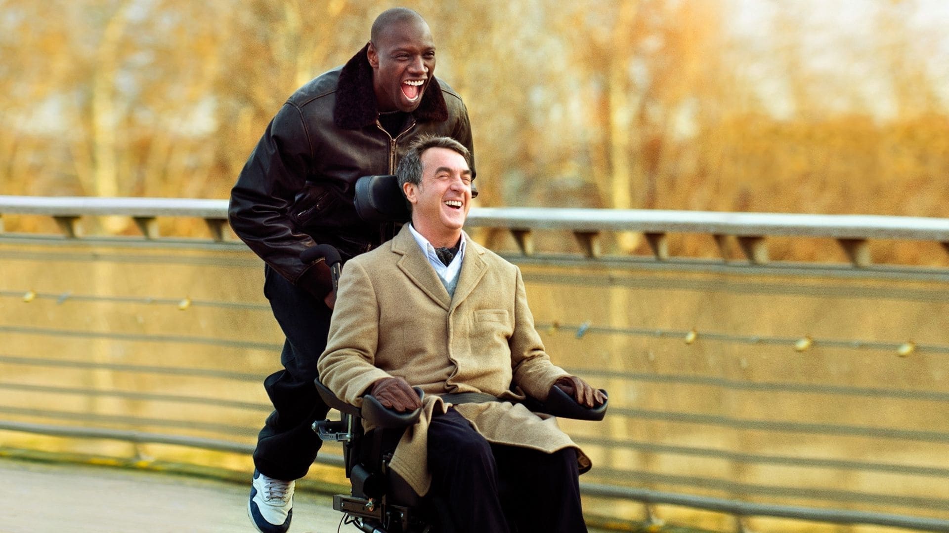 Picture from the movie