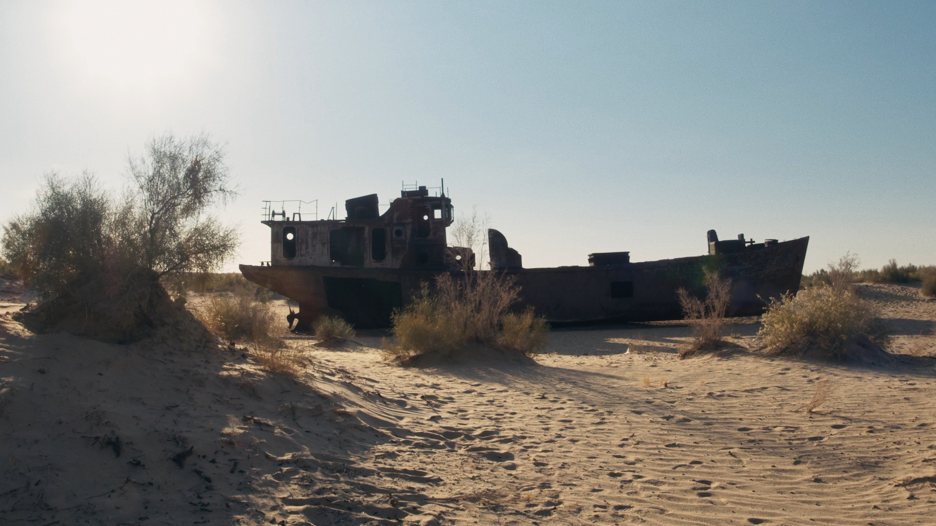 Picture from the movie